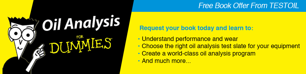 For Dummies book header copy